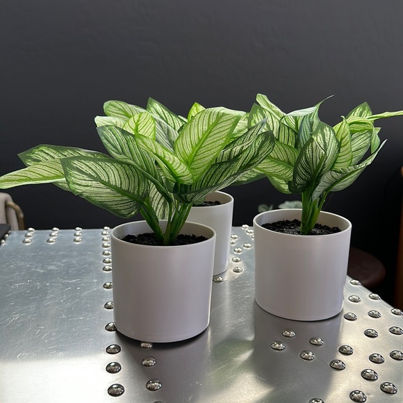 Threshold Potted Faux Plant 3 in the box 7" x 11" Artificial Variegated Leaf - Picture 2 of 4